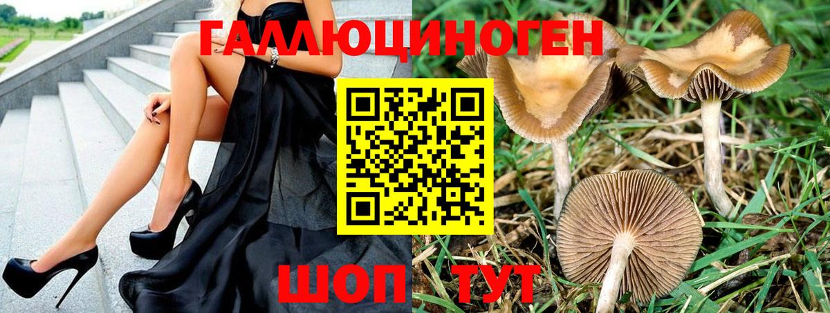 Псилоцибиновые грибы прущие грибы Азнакаево